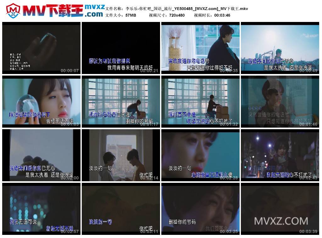 李乐乐-你忙吧_国语_流行_YE500485